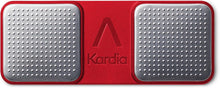 Portable EKG Monitor for Heart Health Monitoring