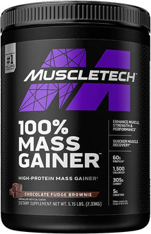 Protein Powder for Muscle Gain