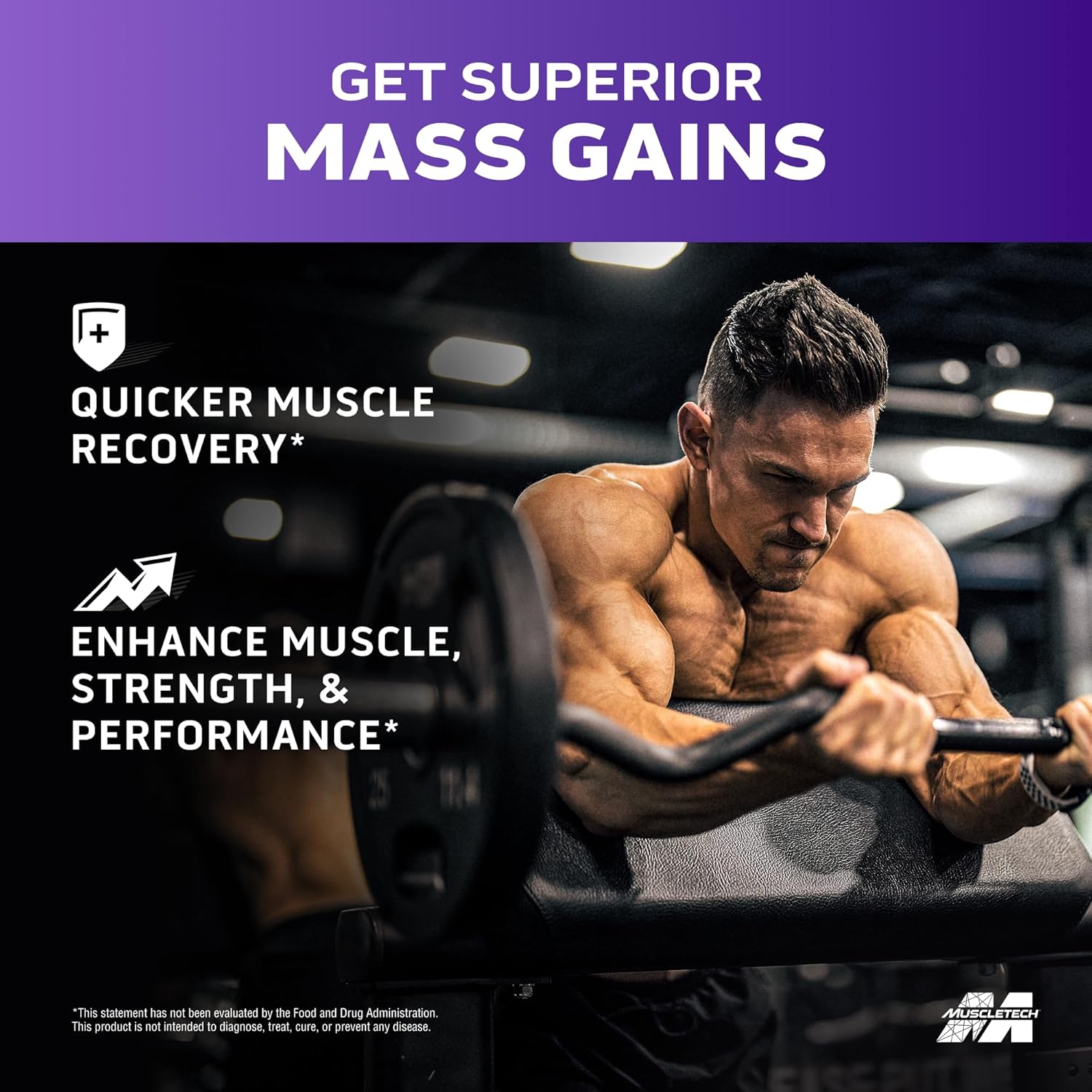 Protein Powder for Muscle Gain