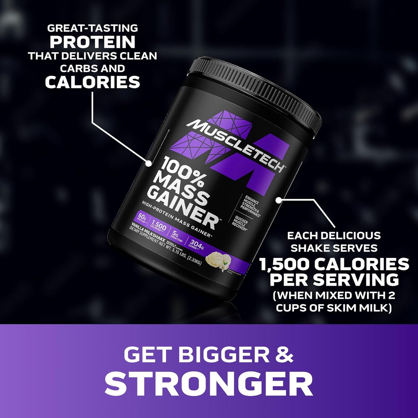 Protein Powder for Muscle Gain