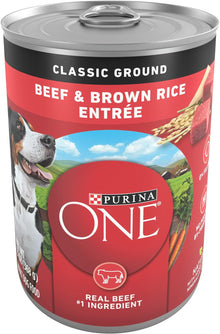 Purina ONE Chicken