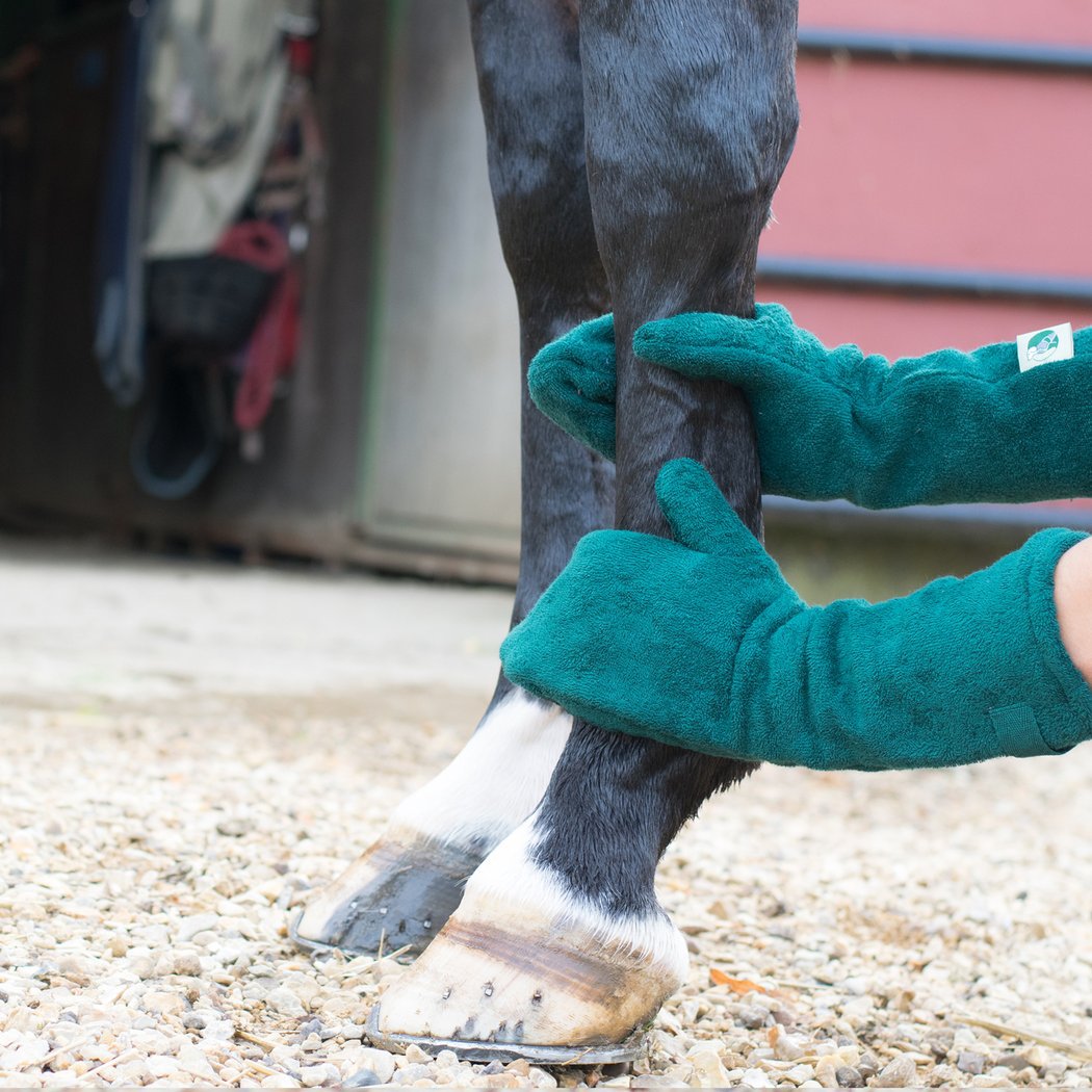 Reusable pet foot cleaning gloves for dogs and cats hygiene

