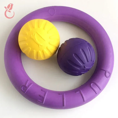 Durable Silicone Dog Training Flying Disc - Safe & Interactive Toy