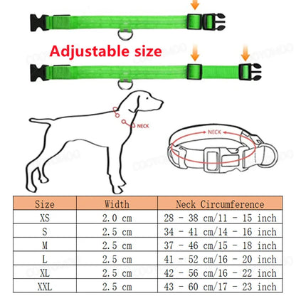 3 Modes LED Dog Collar - USB Rechargeable Glow Collar for Dogs & Cats with Detachable Night Safety Light