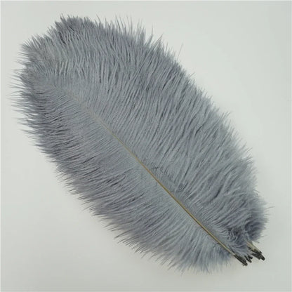 10Pcs/Lot Colored Ostrich Feathers for Crafts Wedding Decoration Handicraft Accessories Table Centerpieces Carnival Plumas Decor