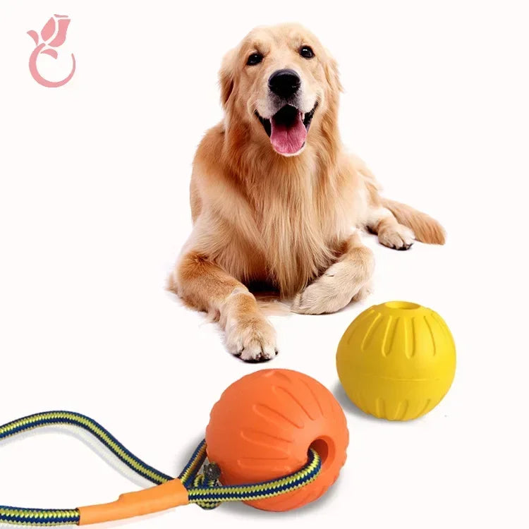 Durable Silicone Dog Training Flying Disc - Safe & Interactive Toy