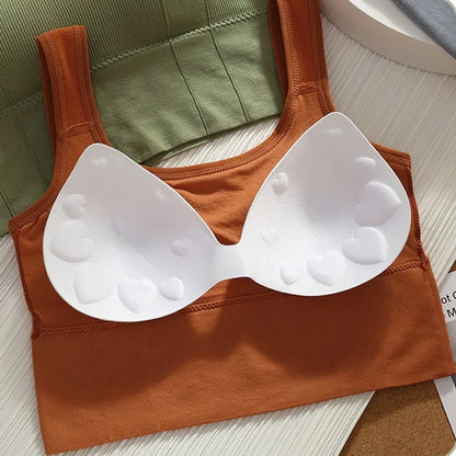 Seamless Sports Bra