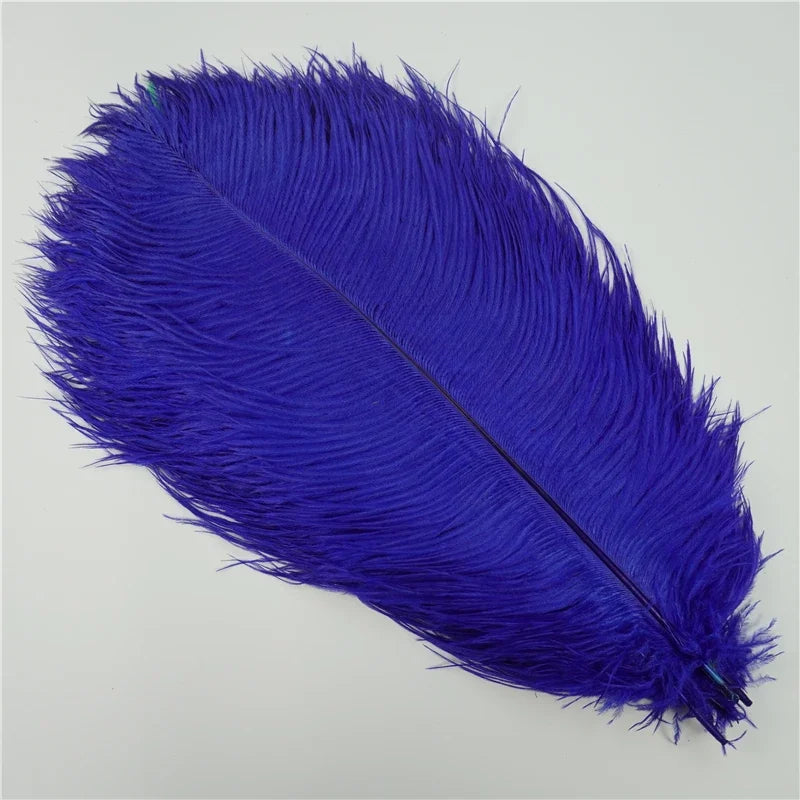 10Pcs/Lot Colored Ostrich Feathers for Crafts Wedding Decoration Handicraft Accessories Table Centerpieces Carnival Plumas Decor