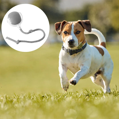 Cat or Dog Interactive  Automatic Ball Toys