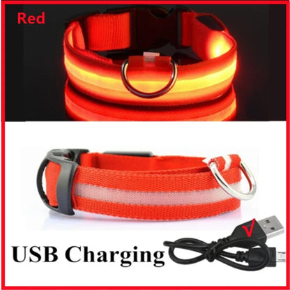 3 Modes LED Dog Collar - USB Rechargeable Glow Collar for Dogs & Cats with Detachable Night Safety Light