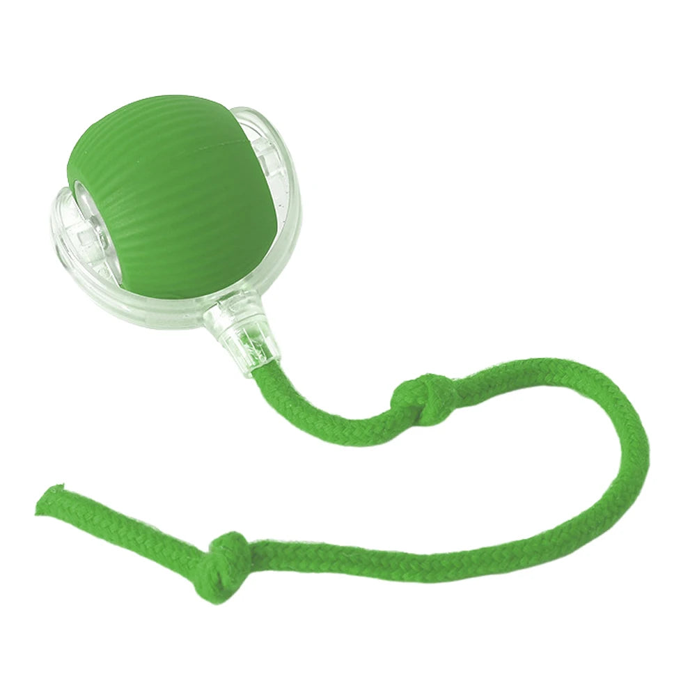 Cat or Dog Interactive  Automatic Ball Toys