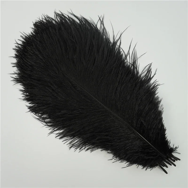 10Pcs/Lot Colored Ostrich Feathers for Crafts Wedding Decoration Handicraft Accessories Table Centerpieces Carnival Plumas Decor