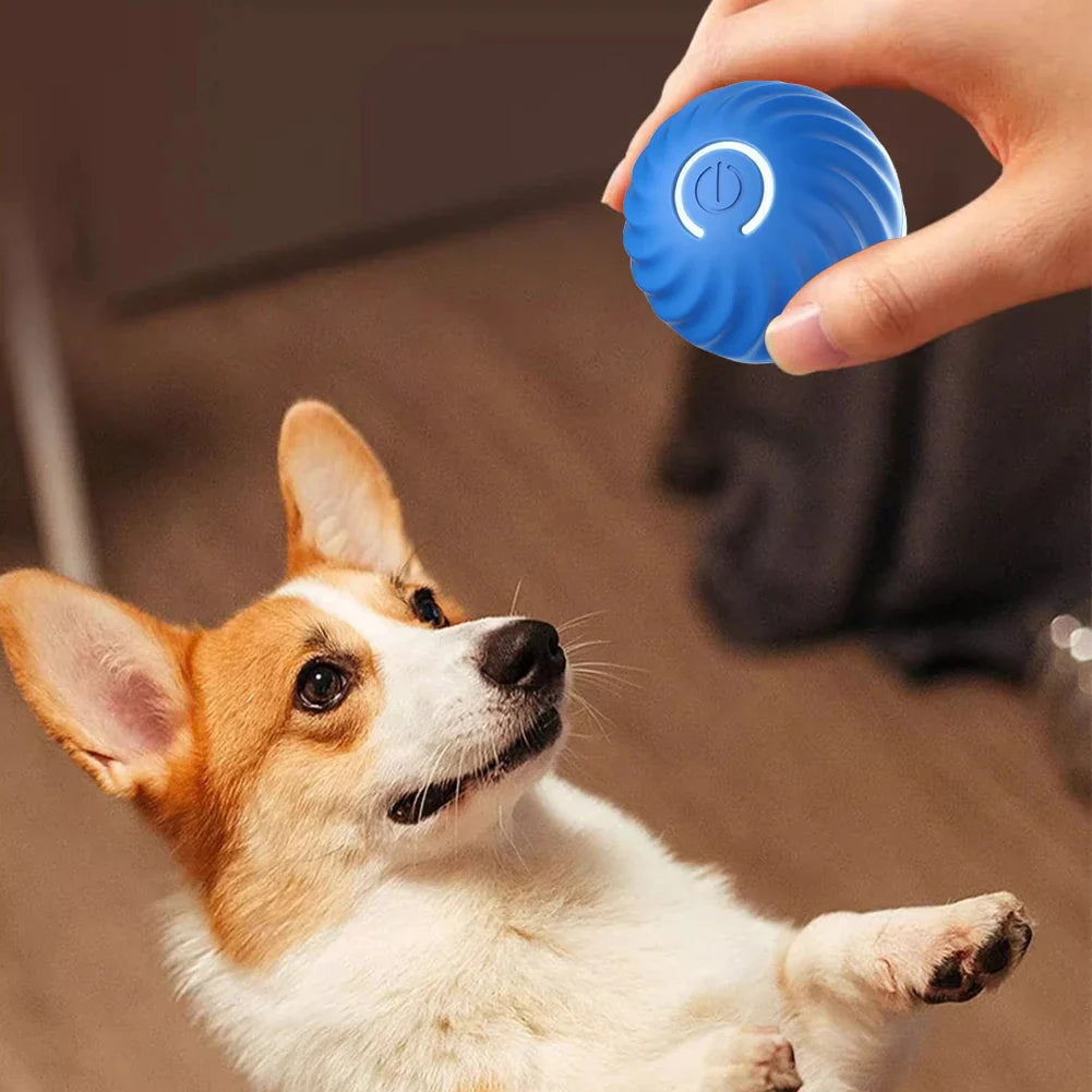 Smart Dog Toy Ball Electronic Interactive Pet Toy Moving Ball USB