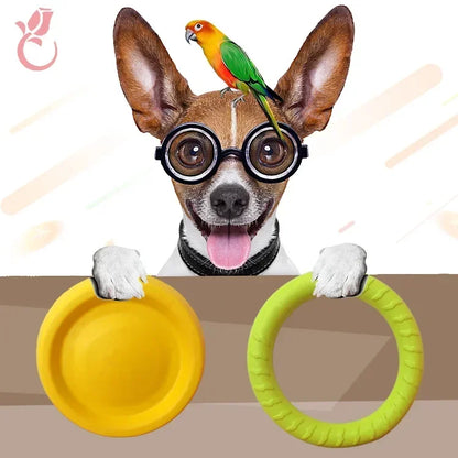 Durable Silicone Dog Training Flying Disc - Safe & Interactive Toy