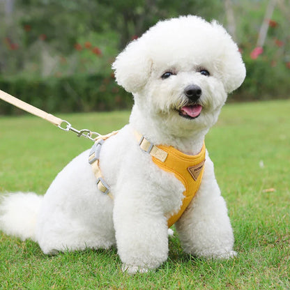 Puppy Harness Leash Set for Small Pets