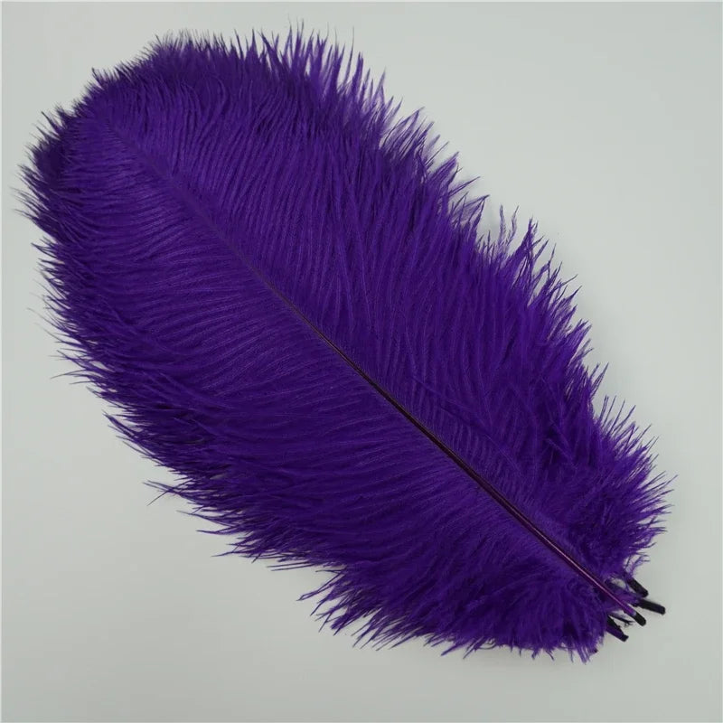 10Pcs/Lot Colored Ostrich Feathers for Crafts Wedding Decoration Handicraft Accessories Table Centerpieces Carnival Plumas Decor