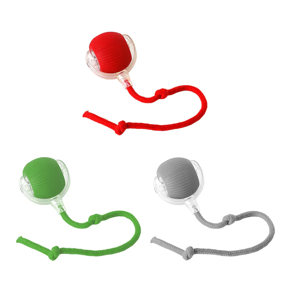 Cat or Dog Interactive  Automatic Ball Toys