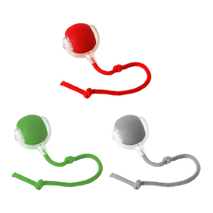 Cat or Dog Interactive  Automatic Ball Toys