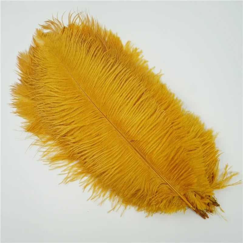 10Pcs/Lot Colored Ostrich Feathers for Crafts Wedding Decoration Handicraft Accessories Table Centerpieces Carnival Plumas Decor