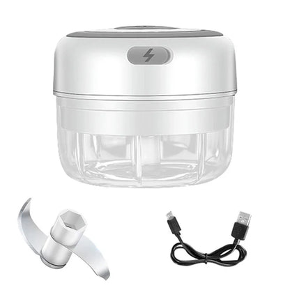 100/250ml Electric Garlic Masher Mini Chopper