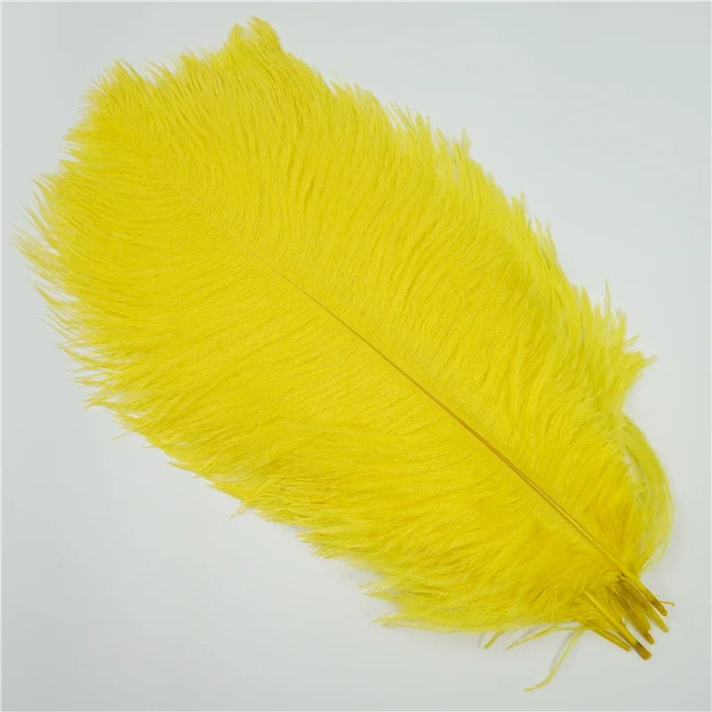 10Pcs/Lot Colored Ostrich Feathers for Crafts Wedding Decoration Handicraft Accessories Table Centerpieces Carnival Plumas Decor