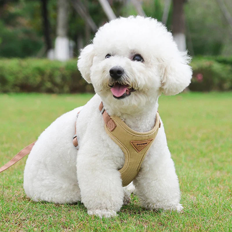 Puppy Harness Leash Set for Small Pets
