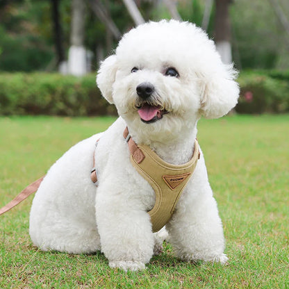 Puppy Harness Leash Set for Small Pets
