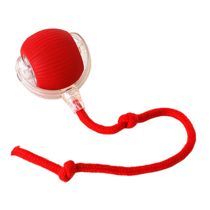 Cat or Dog Interactive  Automatic Ball Toys