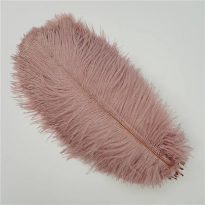 10Pcs/Lot Colored Ostrich Feathers for Crafts Wedding Decoration Handicraft Accessories Table Centerpieces Carnival Plumas Decor