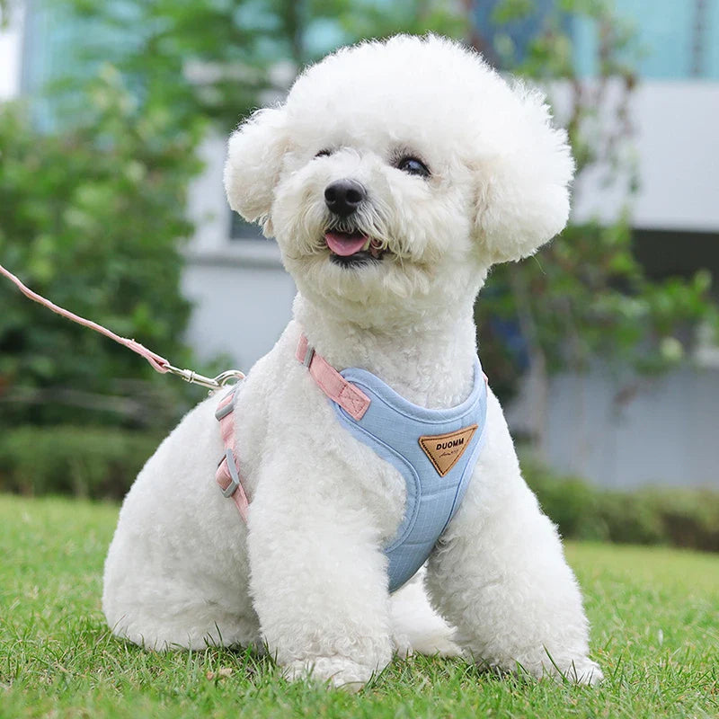 Puppy Harness Leash Set for Small Pets