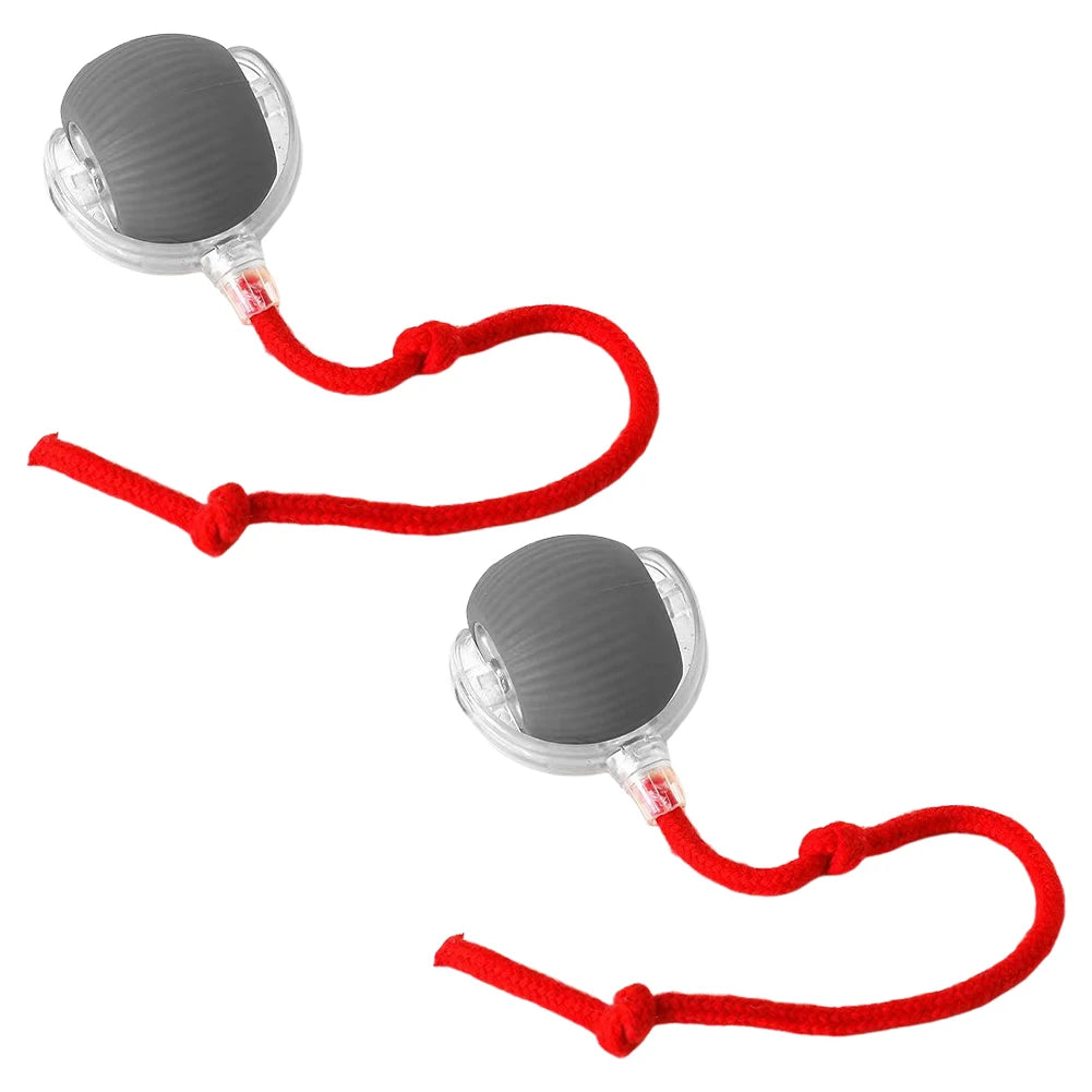 Cat or Dog Interactive  Automatic Ball Toys
