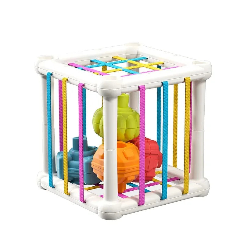 Montessori Shape Sorter Cube – Rainbow Sorting Blocks for Infants