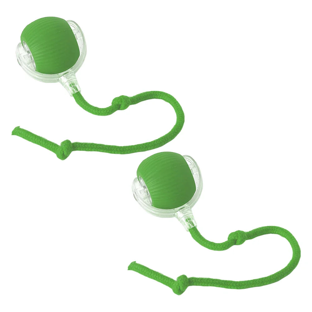 Cat or Dog Interactive  Automatic Ball Toys
