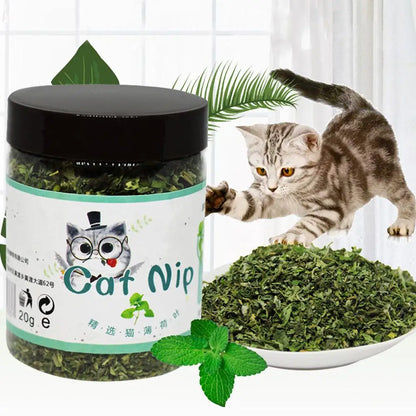 High Quality Catnip Cattle Grass Pet Toy 20g