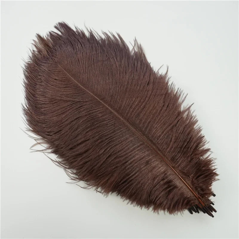 10Pcs/Lot Colored Ostrich Feathers for Crafts Wedding Decoration Handicraft Accessories Table Centerpieces Carnival Plumas Decor