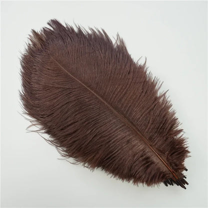 10Pcs/Lot Colored Ostrich Feathers for Crafts Wedding Decoration Handicraft Accessories Table Centerpieces Carnival Plumas Decor