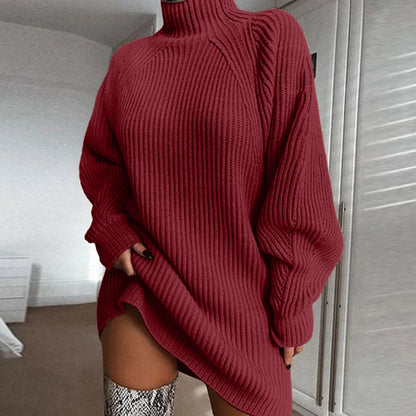 Solid Turtleneck Long Sweater Winter Warm Women Sweater Dress