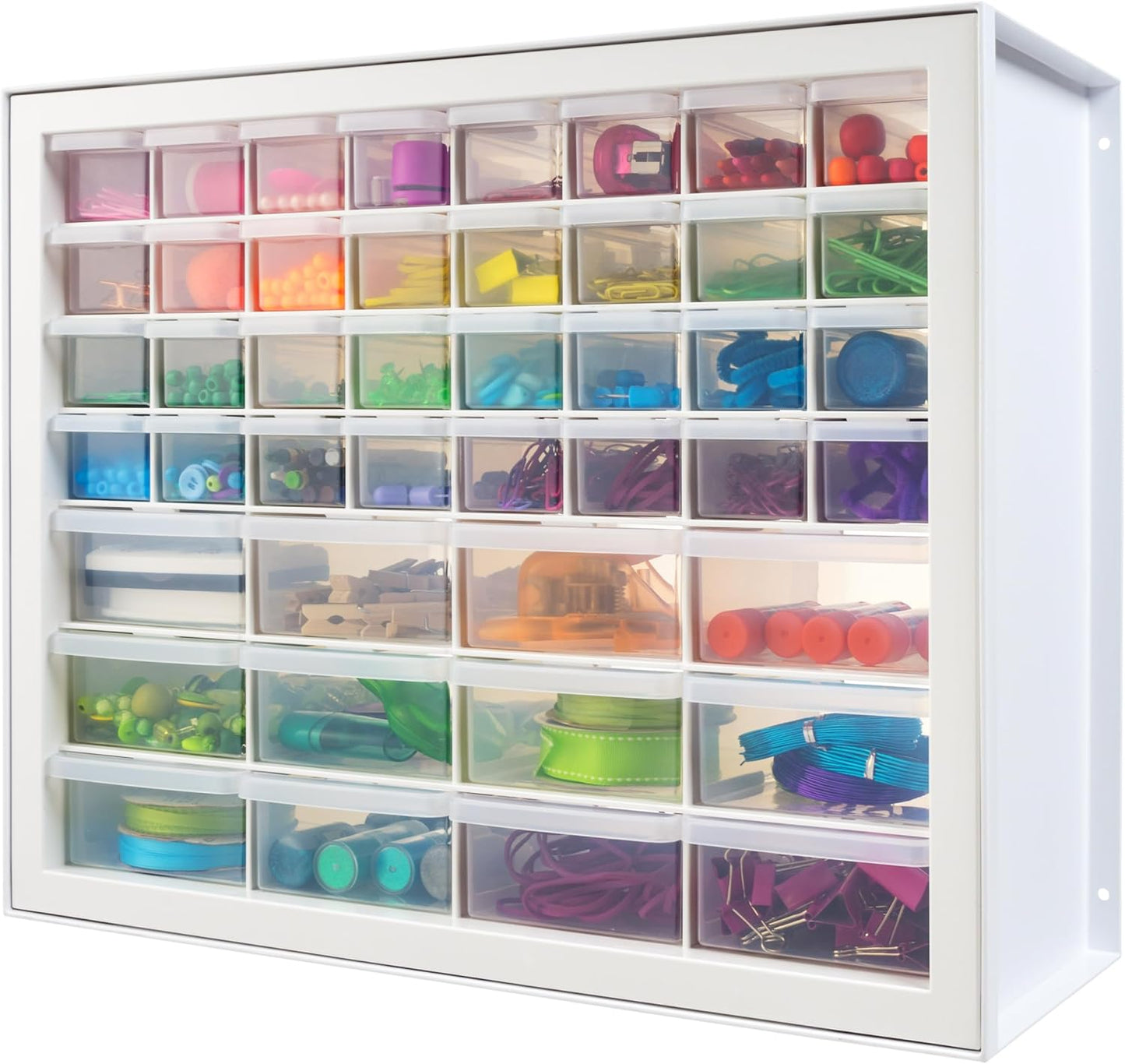 Multi-Compartment Screw Organizer