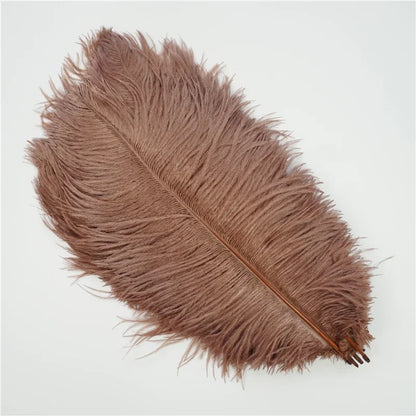 10Pcs/Lot Colored Ostrich Feathers for Crafts Wedding Decoration Handicraft Accessories Table Centerpieces Carnival Plumas Decor