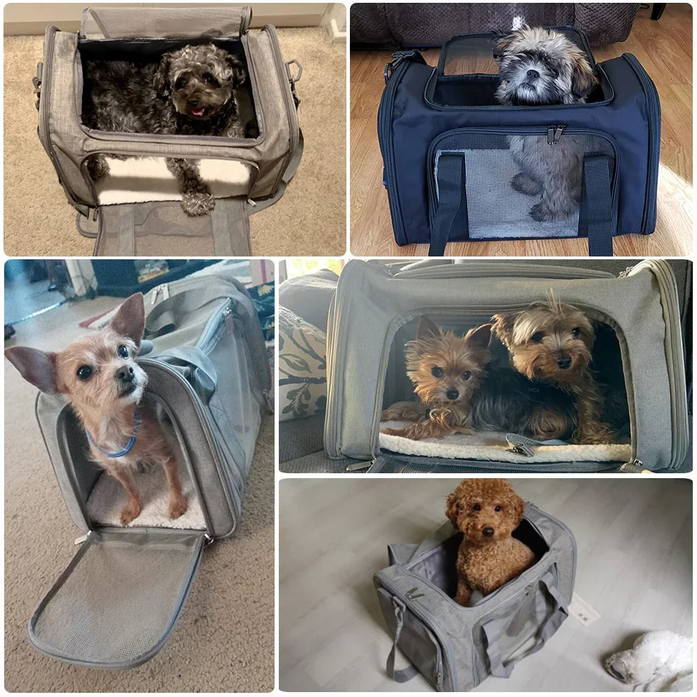 Pet Travel Bags Airline Approved Transport for Small Dogs Cats