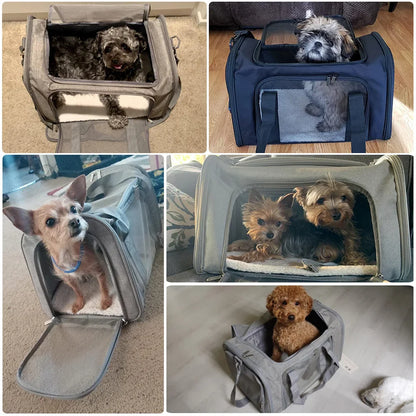 Pet Travel Bags Airline Approved Transport for Small Dogs Cats