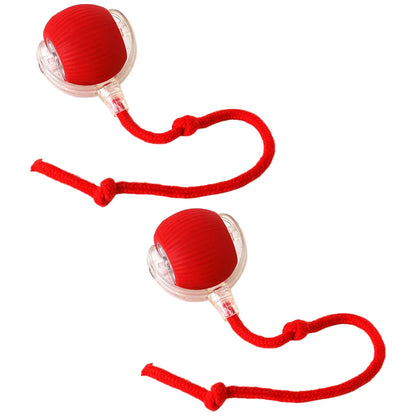 Cat or Dog Interactive  Automatic Ball Toys