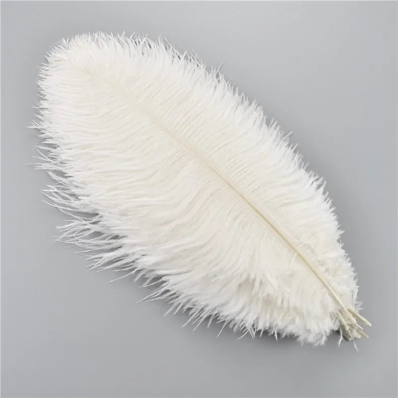 10Pcs/Lot Colored Ostrich Feathers for Crafts Wedding Decoration Handicraft Accessories Table Centerpieces Carnival Plumas Decor
