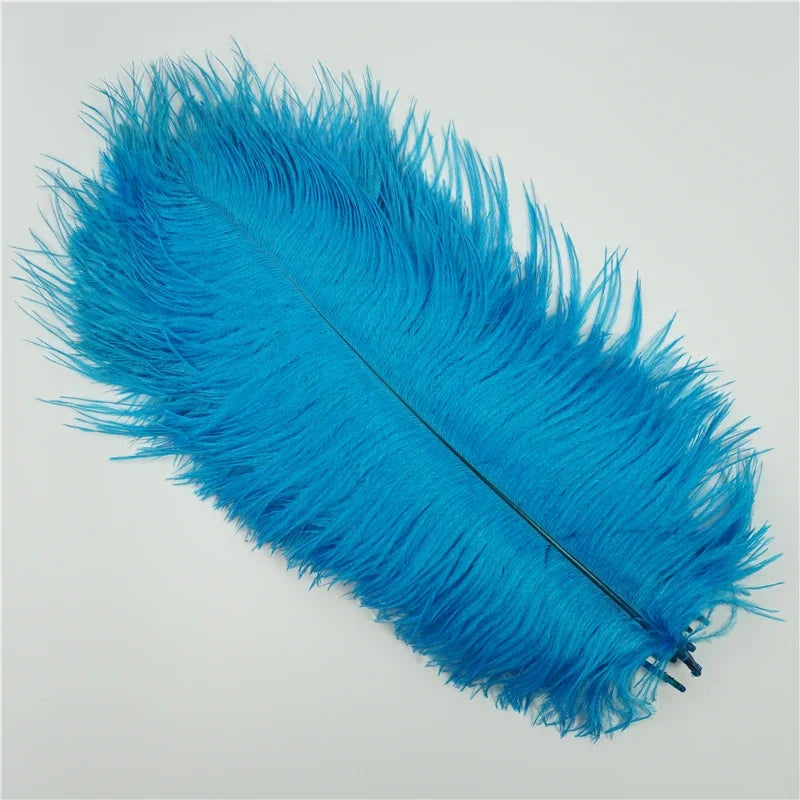 10Pcs/Lot Colored Ostrich Feathers for Crafts Wedding Decoration Handicraft Accessories Table Centerpieces Carnival Plumas Decor