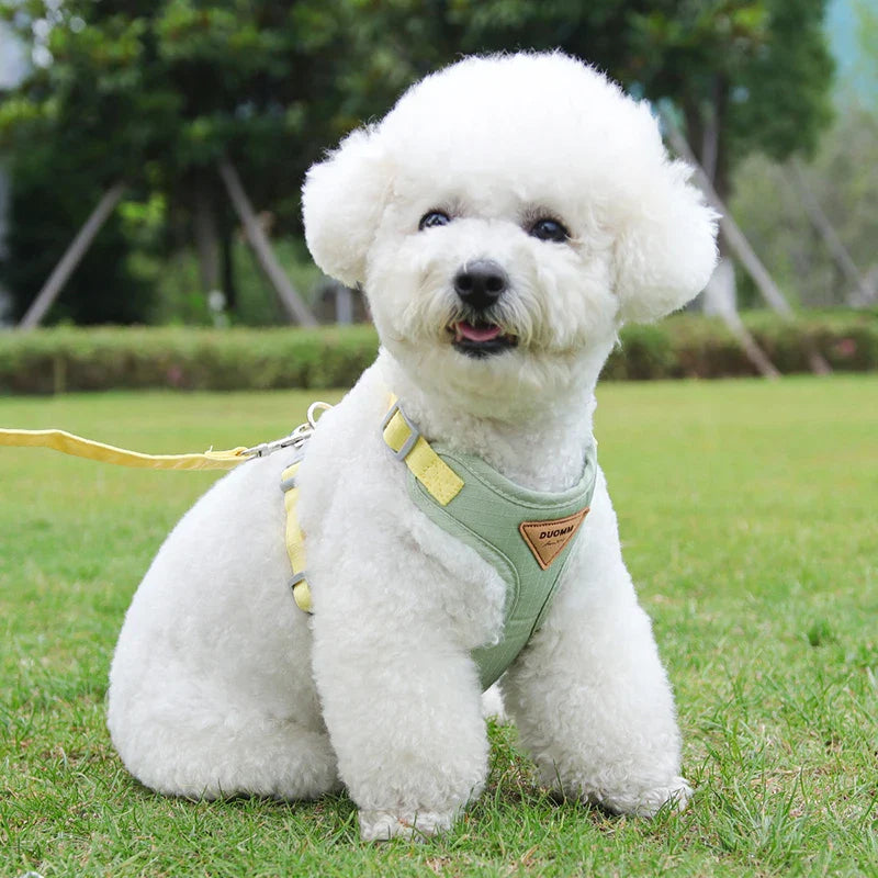 Puppy Harness Leash Set for Small Pets