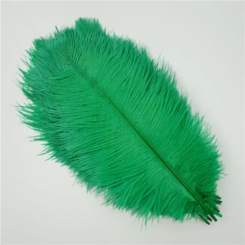 10Pcs/Lot Colored Ostrich Feathers for Crafts Wedding Decoration Handicraft Accessories Table Centerpieces Carnival Plumas Decor