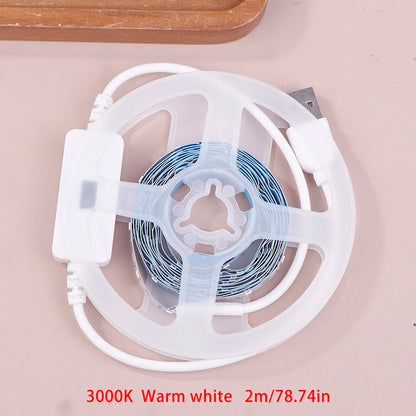 BT13 Battery Powered Strip Lights with PIR Motion Sensor 6.56ft