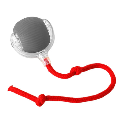 Cat or Dog Interactive  Automatic Ball Toys