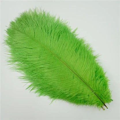 10Pcs/Lot Colored Ostrich Feathers for Crafts Wedding Decoration Handicraft Accessories Table Centerpieces Carnival Plumas Decor