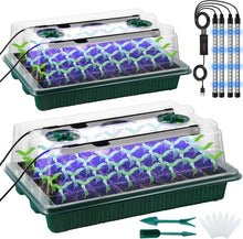 Seed starter trays with grow lights for indoor gardening and plant growth